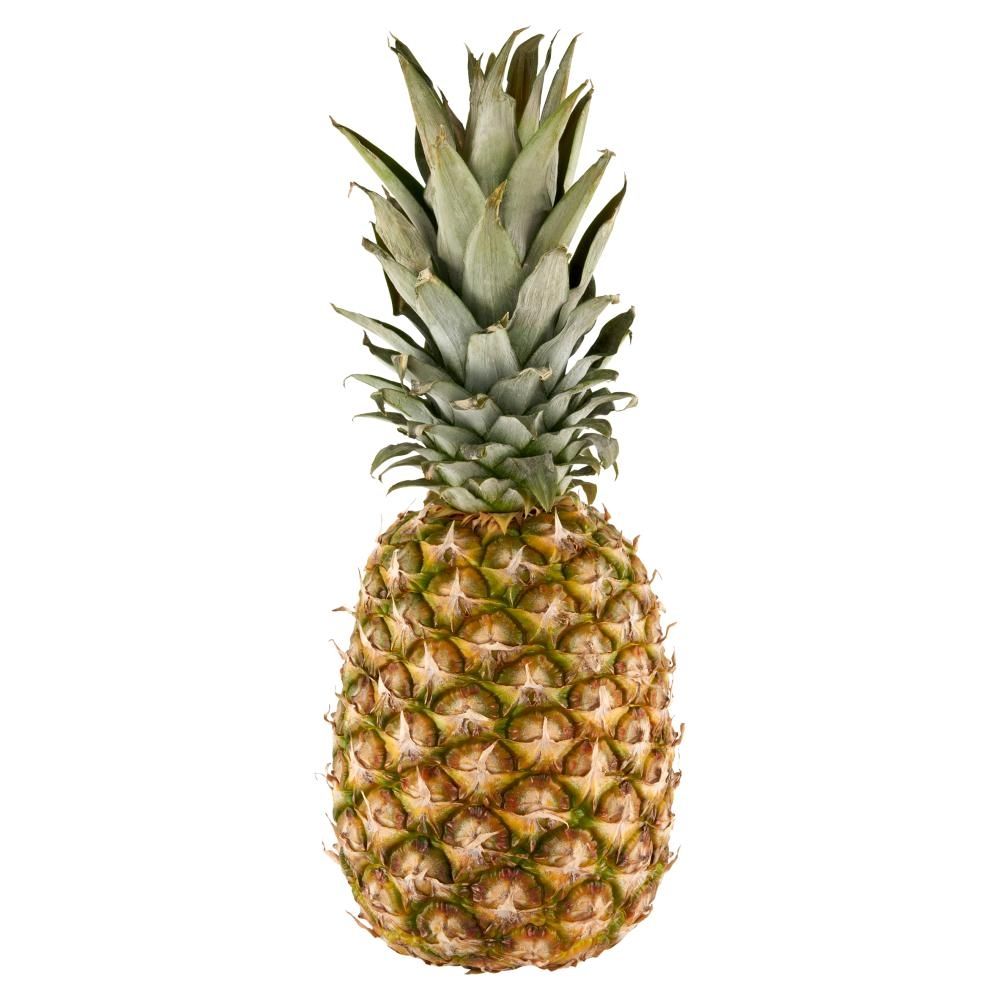 ANANAS SANLUCAR SZT