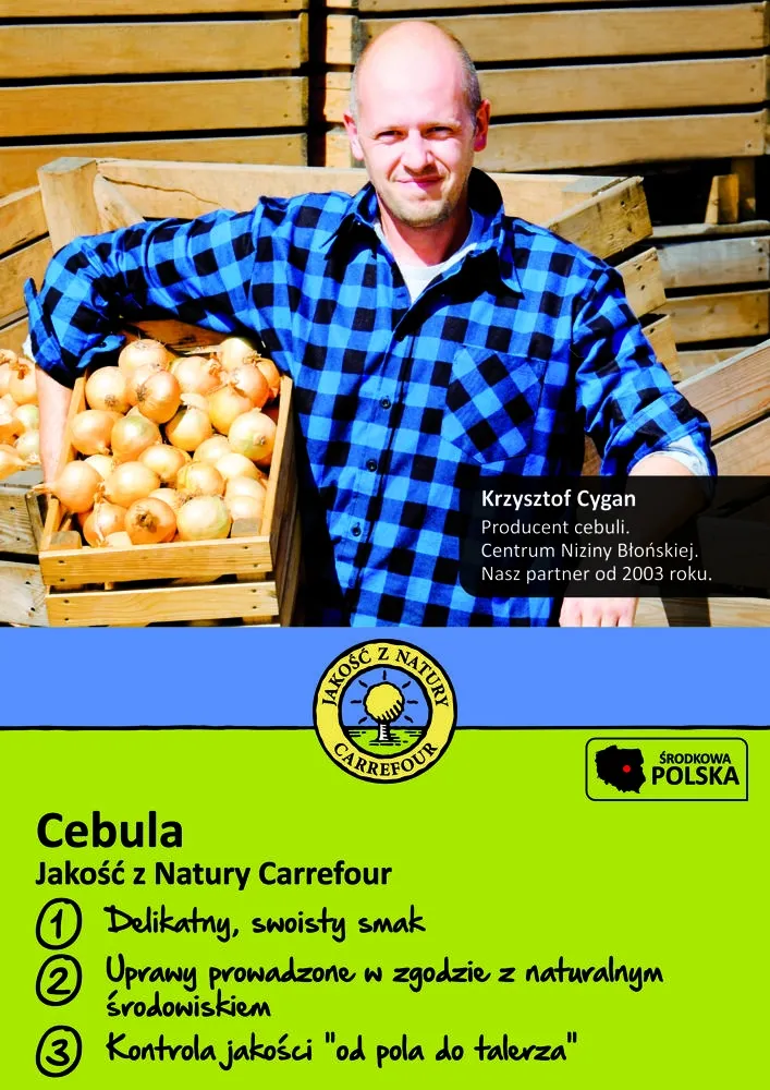 Cebula 