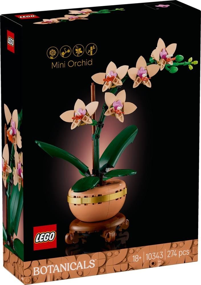 Kwiatowy prezent LEGO® Botanicals Mała orchidea 10343